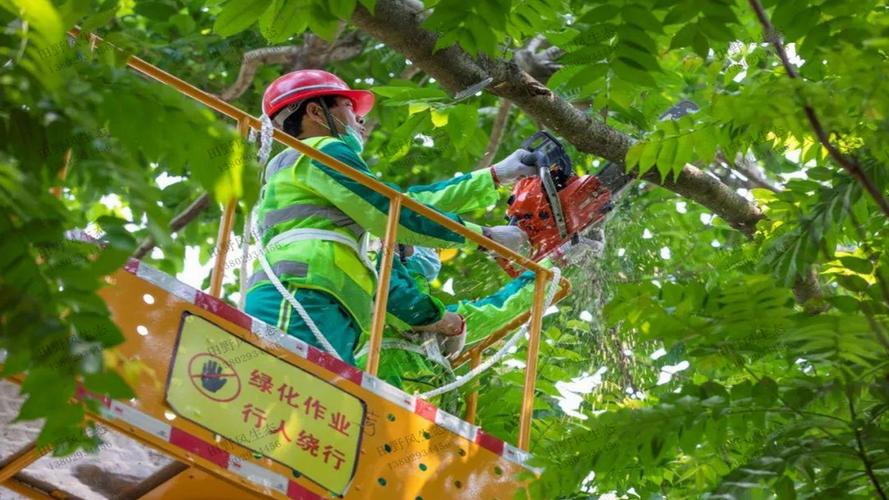 四川绿化工程施工现场