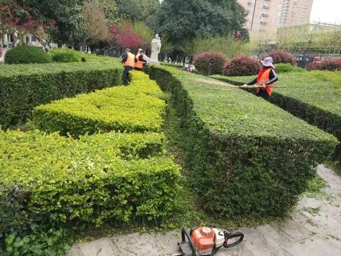 现代美式园林景观设计